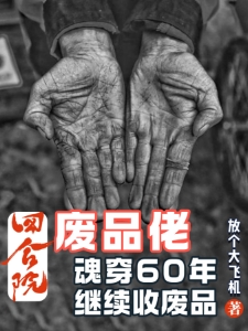 四合院：废品佬魂穿60年